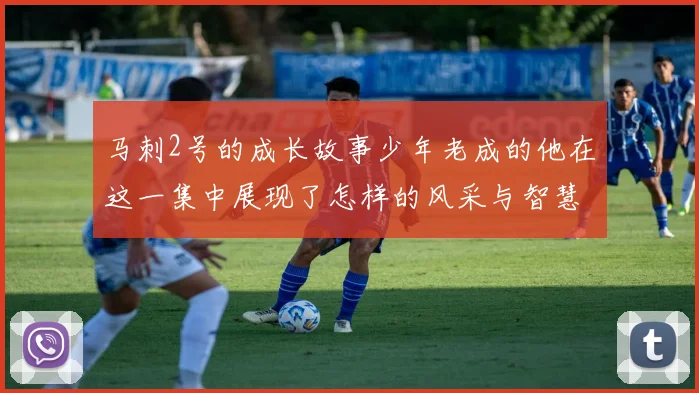 马刺2号的成长故事少年老成的他在这一集中展现了怎样的风采与智慧