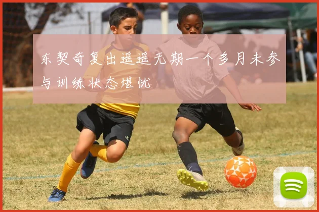 东契奇复出遥遥无期一个多月未参与训练状态堪忧